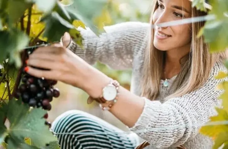 Business-Sustainability